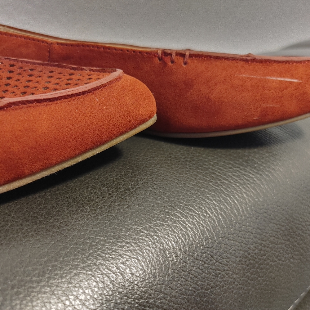 Torrid Flats - Picture 14 of 15